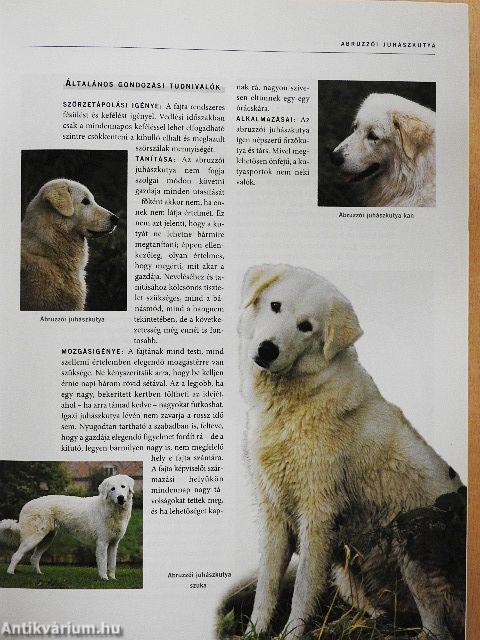 Kutyák enciklopédiája