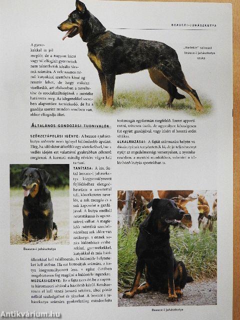 Kutyák enciklopédiája