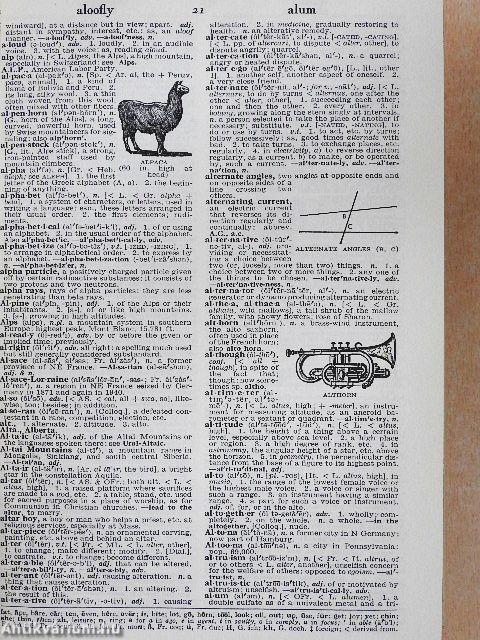 Webster's New World Dictionary