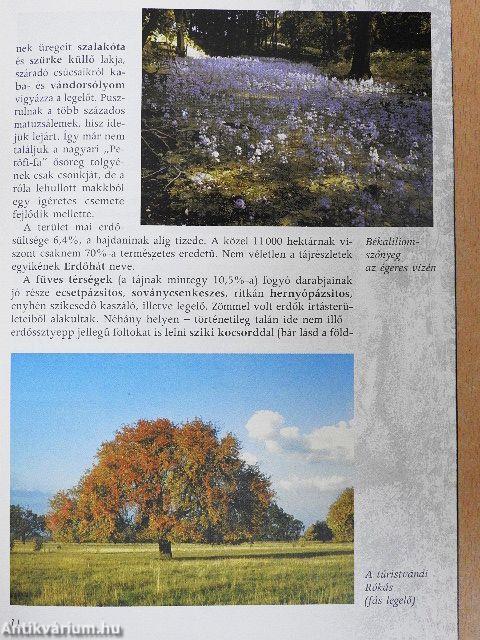 A Szatmár-Beregi Tájvédelmi Körzet