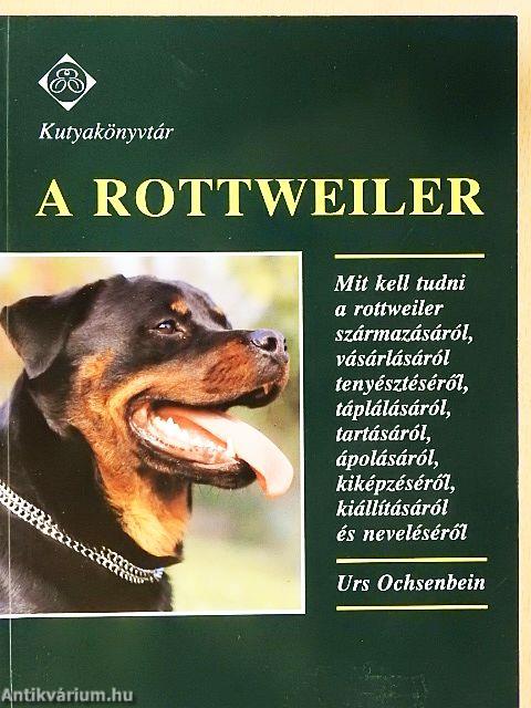 A rottweiler