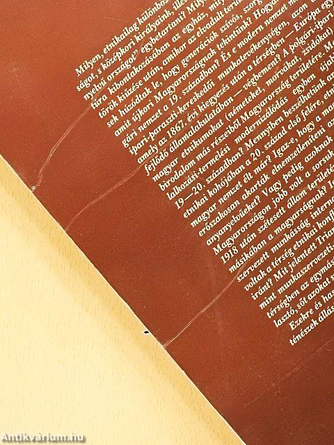 Magyarok a Kárpát-medencében