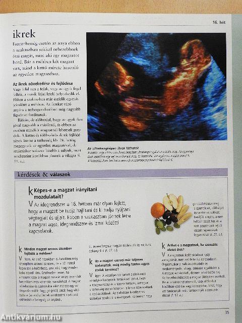 Johnson's mamák & babák