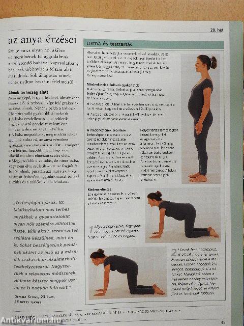 Johnson's mamák & babák