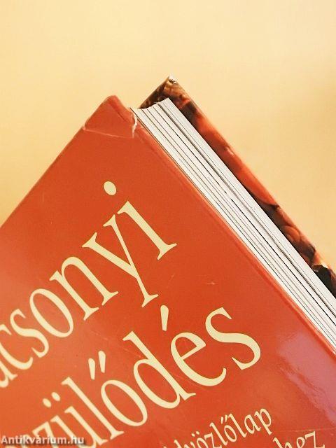 Karácsonyi készülődés