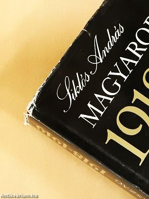 Magyarország 1918-1919