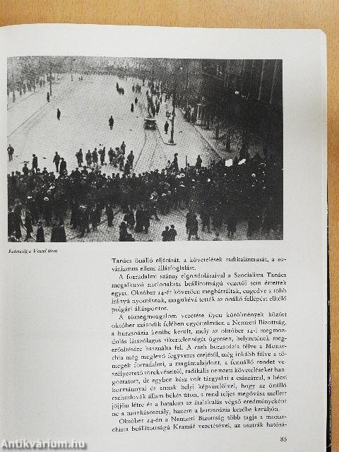 Magyarország 1918-1919