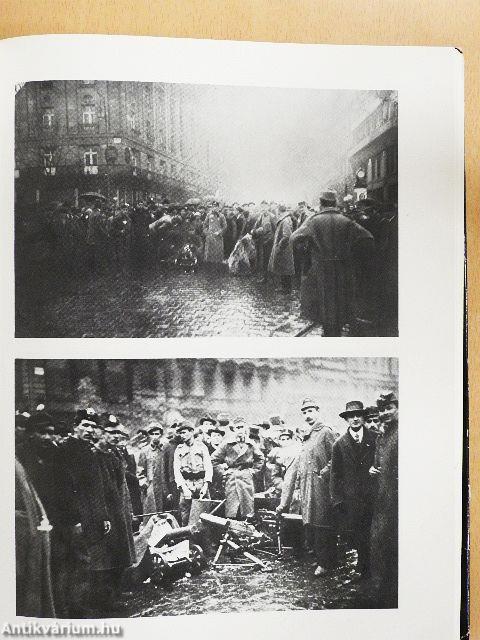 Magyarország 1918-1919