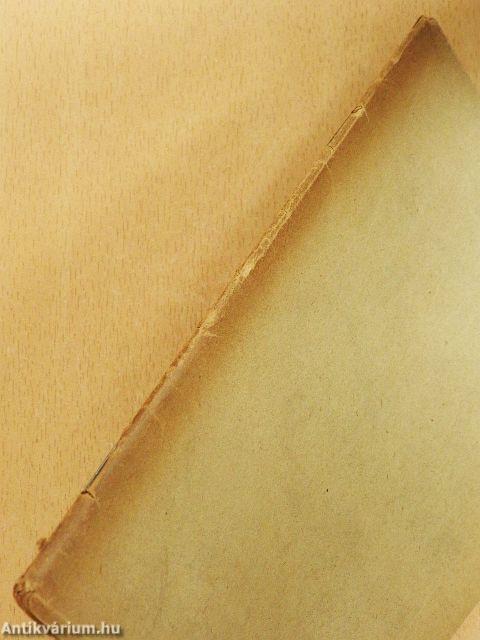 A magyar társadalom