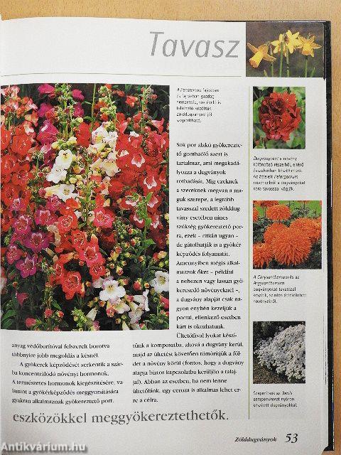 Kertészkedjünk egész évben!