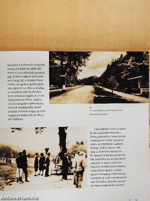 A régi soproni lőver