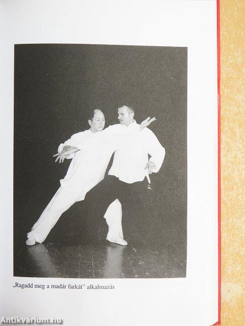 Taijiquan