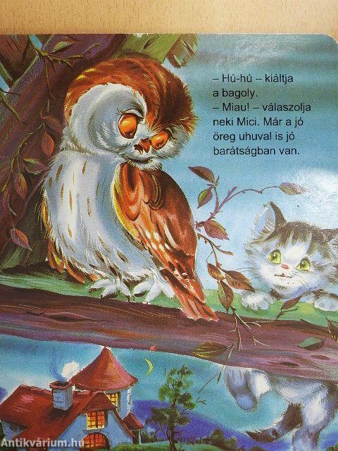 Mici, a kíváncsi kismacska