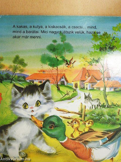 Mici, a kíváncsi kismacska