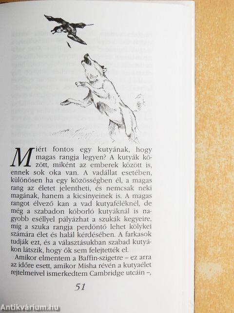 A kutya lelki élete