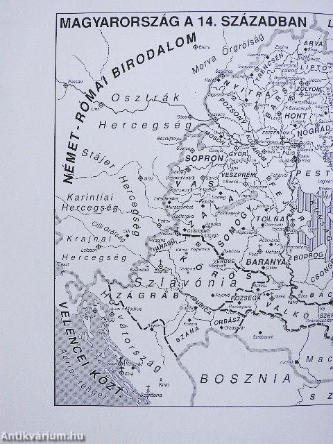 A tizennegyedik század története