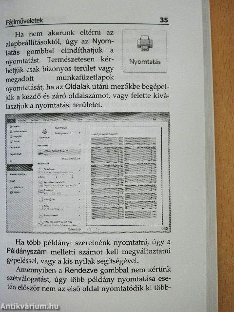 Microsoft Excel 2010 zsebkönyv