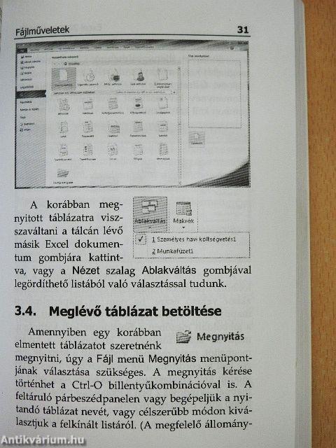 Microsoft Excel 2010 zsebkönyv