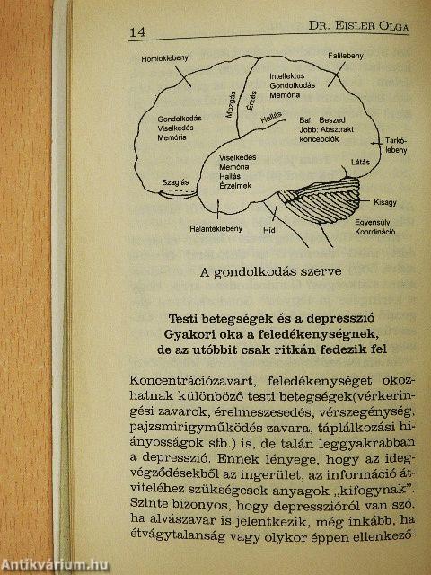 Mindennapi memóriánk