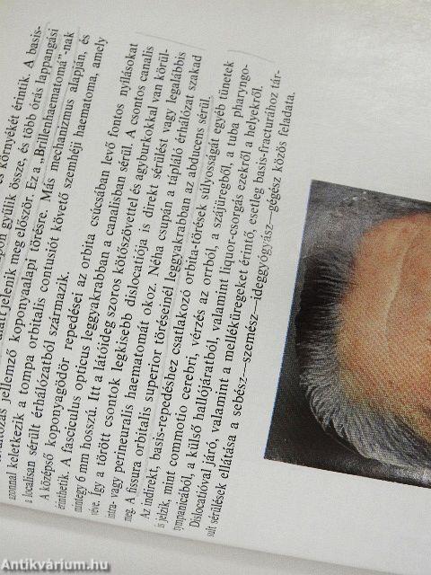 A szemészet alapvonalai