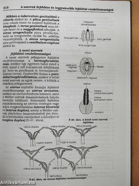 Alkalmazott biológia