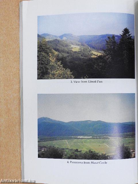 The Hungarians in Transcarpathia