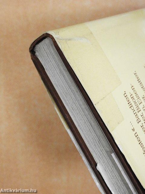 Der Wilde Westen im Bild