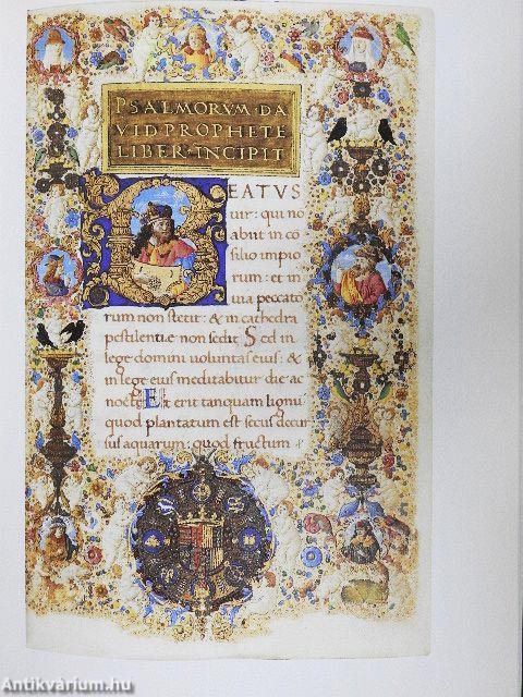 Die Wolfenbütteler Corvinen