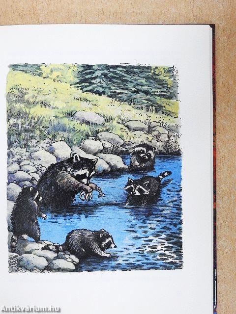 Kleiner Wolf und Wahki Waschbär