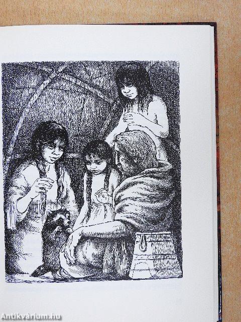 Kleiner Wolf und Wahki Waschbär