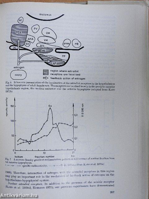 Endocrinology of Sex