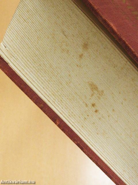 Magyar-orosz szótár I-II.