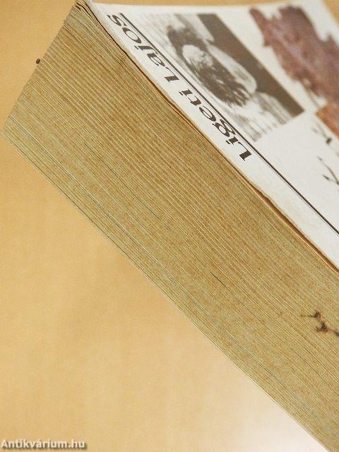 Sárga istenek, sárga emberek