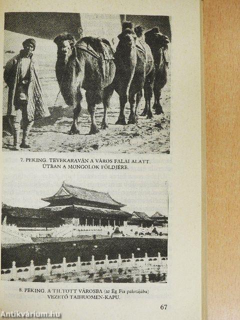 Sárga istenek, sárga emberek