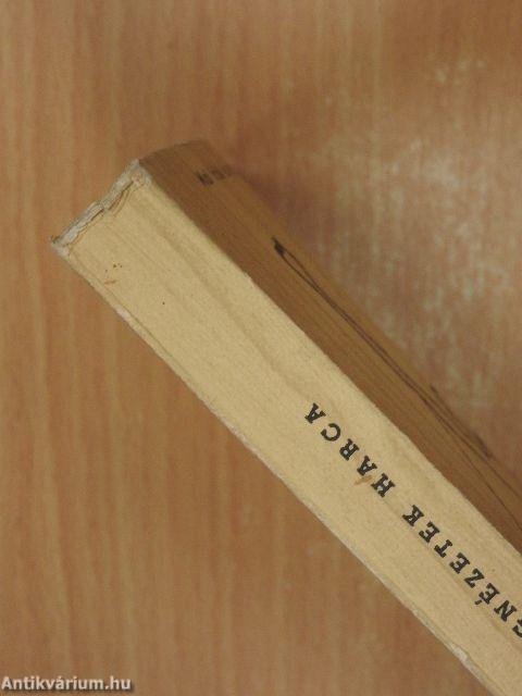 Világnézetek harca