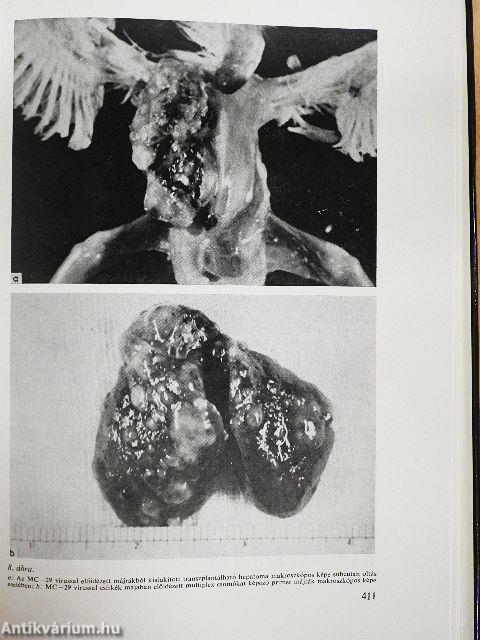 Az orvosi virológia aktuális kérdései