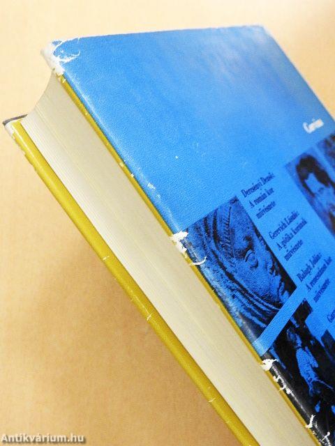 A magyarországi művészet története II.