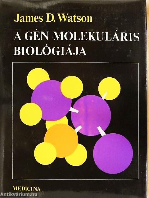 A gén molekuláris biológiája