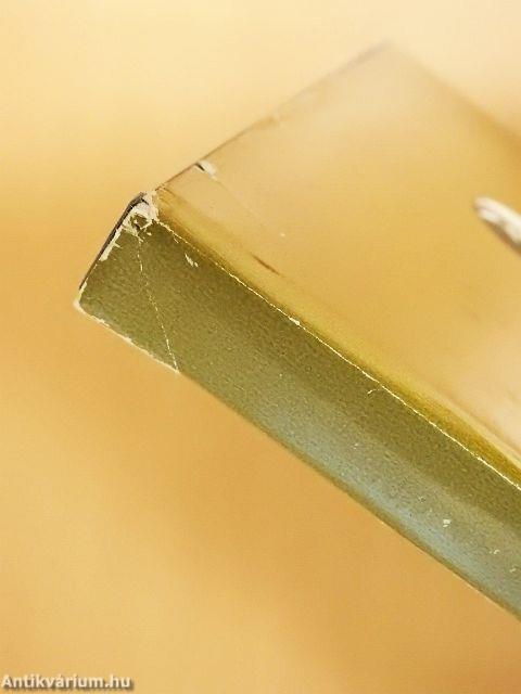 Régi házak Pest-Budán