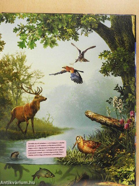 Otthonok és szokások