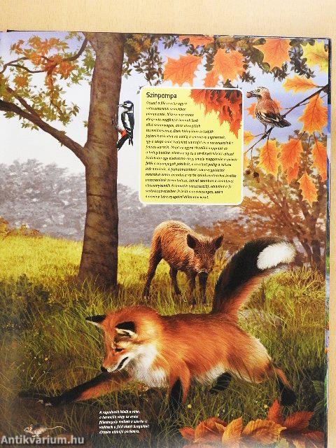 Otthonok és szokások