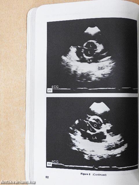 The Guide to Cardiology
