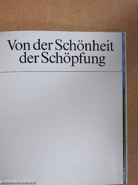 Von der Schönheit der Schöpfung