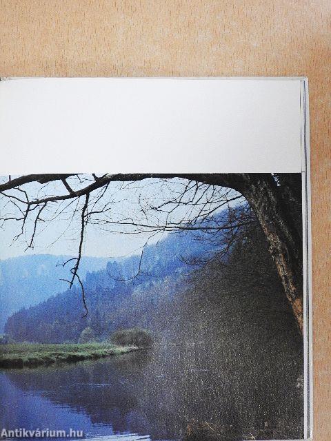 Von der Schönheit der Schöpfung