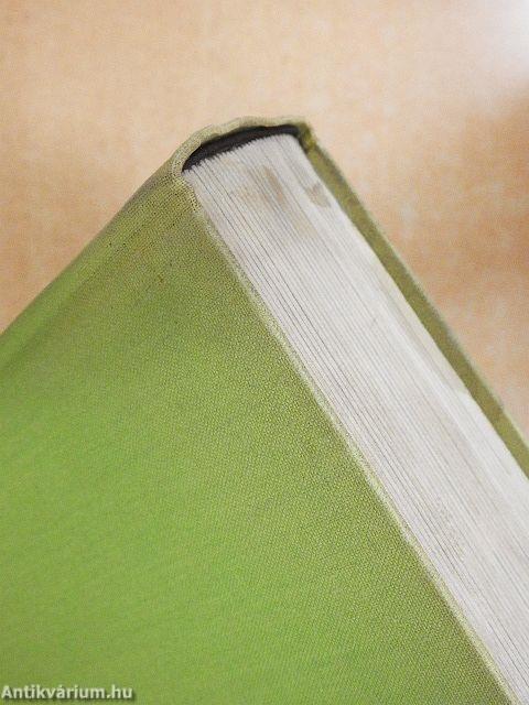 Der Garten drinnen und draußen