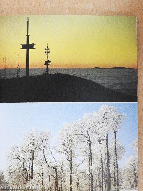 Der Vogelsberg in Farbe