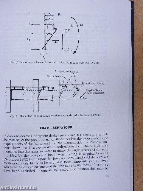 Challenges and Perspectives for Steel Structures