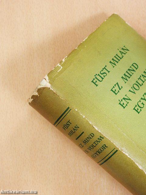 Ez mind én voltam egykor