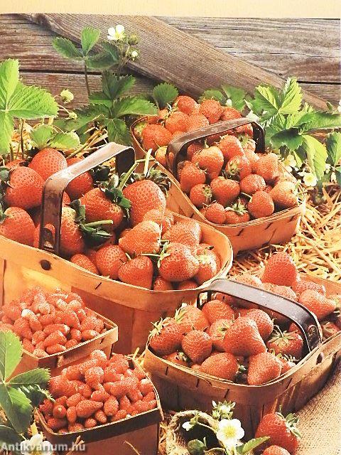 Gyógyító ételek - Ártalmas ételek 