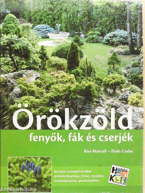Örökzöld fenyők, fák és cserjék